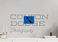 8 x 6″, Photo Print On Fuji Crystal DP II Bald Eagle