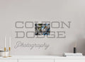 8 x 6″, Photo Print On Fuji Crystal DP II Belted King Fisher