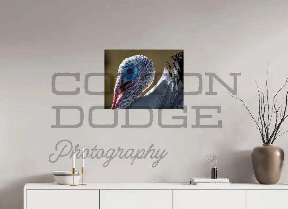 24 x 18″, Photo Print On Fuji Crystal DP II Crollwitzer Turkey "Henry"