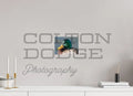 8 x 6″, Photo Print On Fuji Crystal DP II Mallard Duck