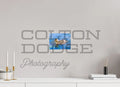 8 x 6″, Photo Print On Fuji Crystal DP II Mallard Duckling