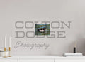 8 x 6″, Photo Print On Fuji Crystal DP II Ring-Necked Duck